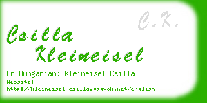 csilla kleineisel business card